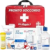 AIESI® Cassetta medica di pronto soccorso (Borsa) con ALLEGATO 2 per aziende meno 3 dipendenti, Conforme DM388/DL81, Made in Italy